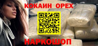 крисы Новодвинск