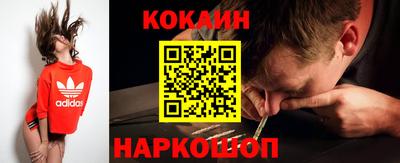 крисы Новодвинск