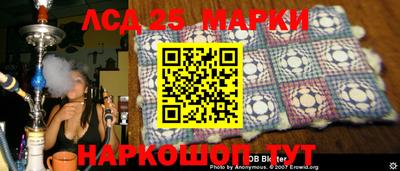 крисы Новодвинск