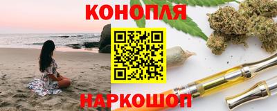 крисы Новодвинск