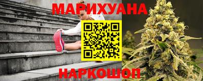 крисы Новодвинск