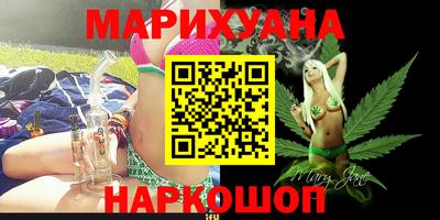 крисы Новодвинск