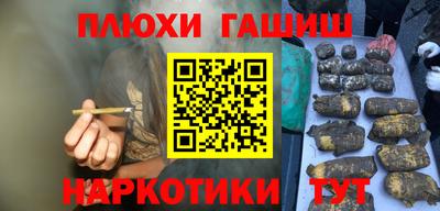 крисы Новодвинск